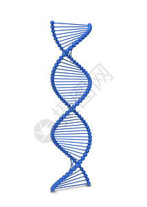 医疗的Dna螺旋3d插图在白色背景上孤立微观的进化图片