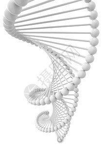 Dna螺旋3d插图在白色背景上孤立分子研究技术图片