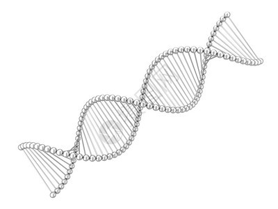 遗传学研究Dna螺旋3d插图在白色背景上孤立药店图片