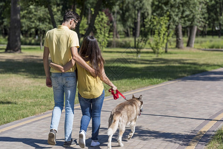 孩子脸女士父亲母公园步行狗图片