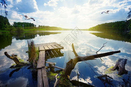 支撑绿色日出木林码头用于在湖上捕鱼天空中海鸥木林码头用于在湖上钓海鸥图片