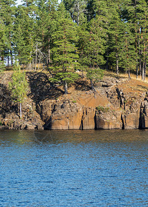湖岸边有红岩石和松树在岸边长着海山支撑图片