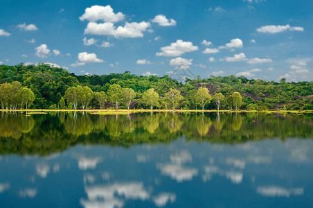 河季节美丽的自然绿林和明蓝天空的景观有选择地突出重点反射图片