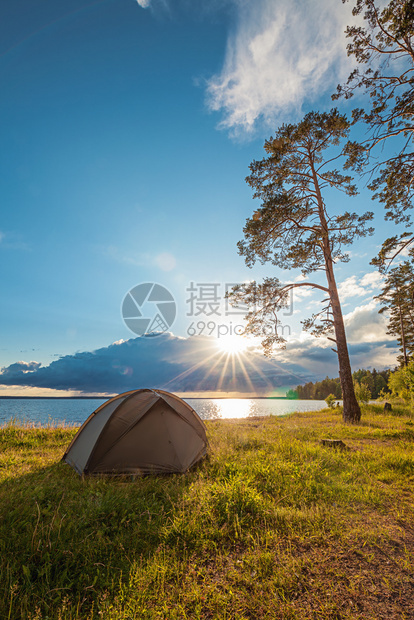 夏天假期阳光在松树下湖岸边的旅游帐篷图片