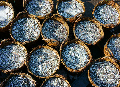 排钓鱼景观在户外农市场捕鱼的一群篮子中Anchovy是制作鱼酱的材料非常美味的越南食品许多用冰覆盖渔业以保持新鲜度的产品图片