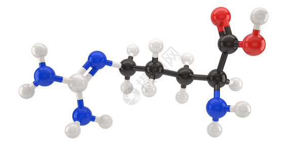 Arginine分子结构3d插图带有剪切路径工作白色的生物合成图片