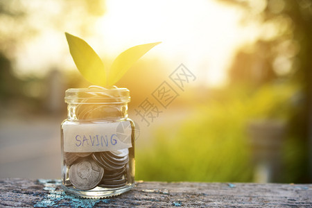 财富金融的用罐瓶装硬币在木桌阳光上的钱自然绿色背景储蓄资金概念木制的图片