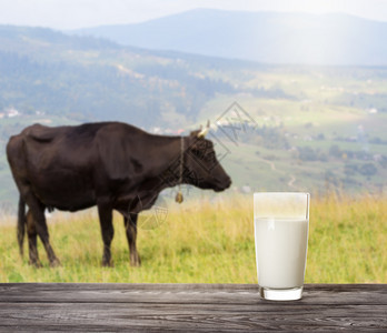 牧场天然食物概念木板牛奶山背景p奶杯概念在山牛背景的木板上cleasofmilk的概念p钙瓶子图片