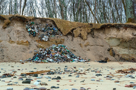 弃植物桩自然界中的塑料废玻璃瓶人类在森林中留下的垃圾人类在森林中留下的垃圾自然界中的塑料废玻璃瓶图片