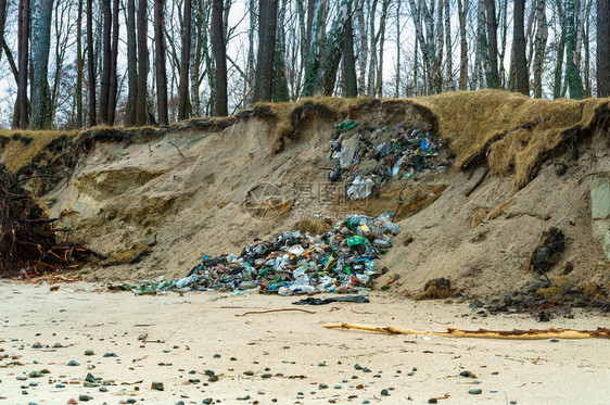 人们瓶子自然界中的塑料废玻璃瓶人类在森林中留下的垃圾人类在森林中留下的垃圾自然界中的塑料废玻璃瓶肮脏的图片