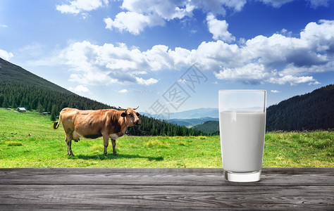 优质的奶牛与山地牧场的奶杯天然食品和产的概念奶牛与山地牧场的奶杯棕色健康图片