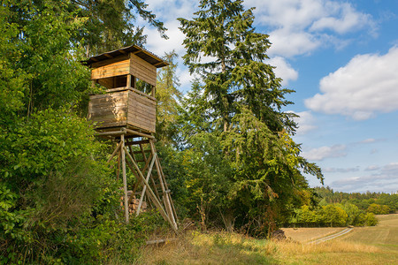 看德国质的木林狩猎小屋树木制的图片