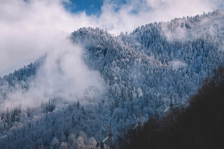 冬季雪景风光图片