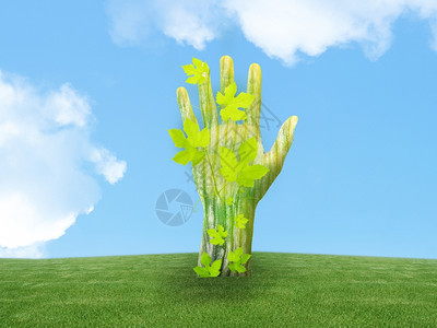 生态概念绿手把土地用成一棵有叶子的树云创造力环境图片