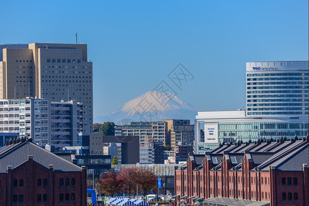 船日本横滨2013年月2日横滨市地貌景观这座城市是川县首府日本第二大城市公园摩天楼图片