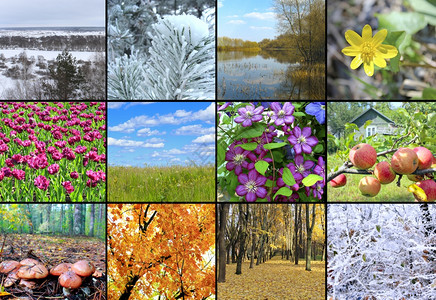 每个月带有自然照片的日历程带有彩色照片的办公室日历空白带有的自然照片带有图的日历模板带有十二张自然照片的日历模板带有图片的模板四背景图片