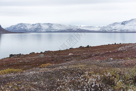积极的蓝色格陵兰岛北极地貌的夏季末和初秋有雪山大海甚至图片