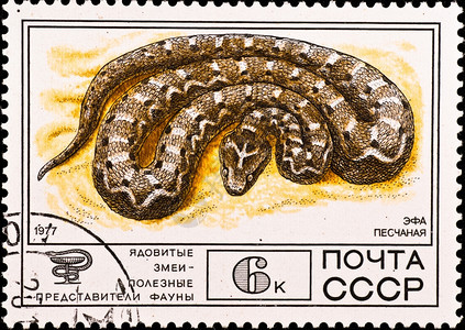 犬类全民教育中毒苏联197年CIRCA邮票显示毒蛇大约在197年图片