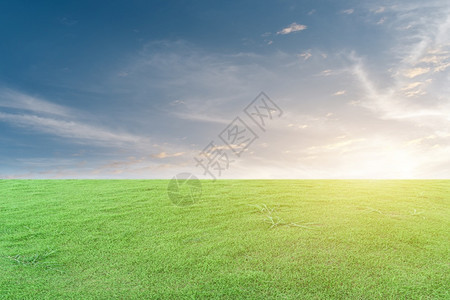 绿草和蓝天空有白云美丽的自然草地景观太阳外部农业季节高清图片素材