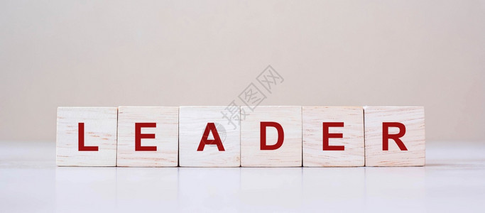 LEADER表格背景领导管理和业务概念中的立方格块团队合作颜色内容图片
