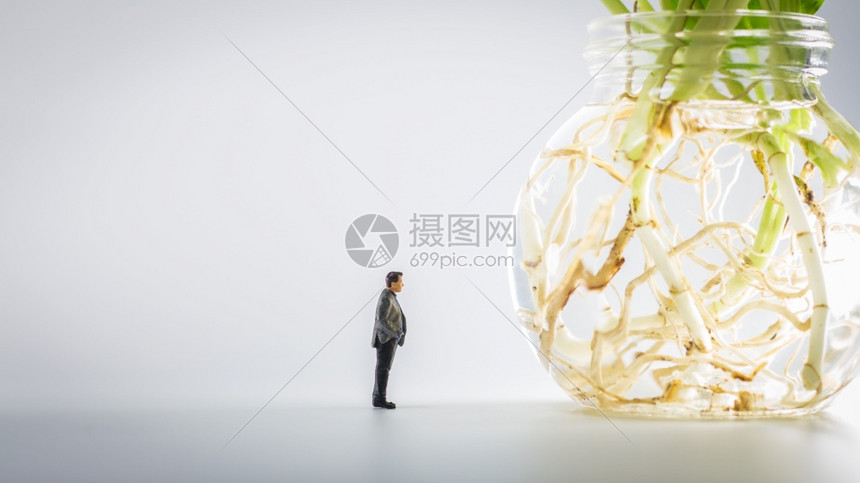 植物学常设人们在玻璃容器中站着看Epippremnnumauureum的汽车图片