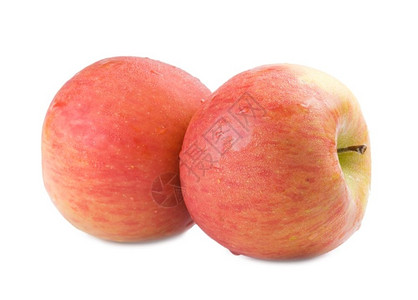 两个新鲜的苹果在白色背景上又往回滴水吃目的甜图片