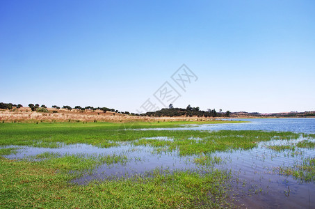 绿色阿尔克瓦欧洲葡萄牙Amamiira村附近的Alqueva湖图片