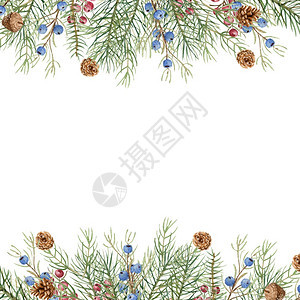 愉快象征罗文圣诞冬季插图方形框架与水彩云杉树枝锥体蓝色和红浆果水彩插图圣诞冬季方形框架与水彩云杉树枝蓝色和红浆果图片