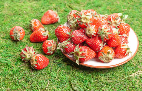 绿色成熟一种个小盘子满了青草上新鲜红莓的小盘子青草地上满有莓图片