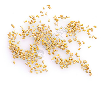 庄稼在白背景顶视图中孤立的小麦粒种子大部分图片