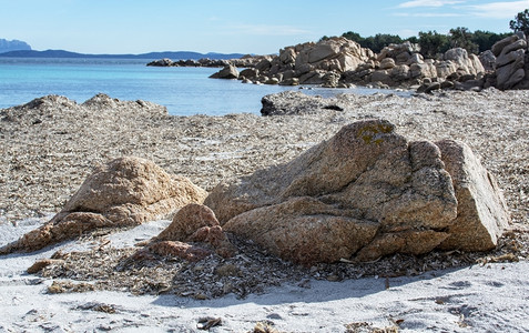 3月在意大利萨尔丁亚州科斯塔梅拉尔达岛冬季海滩上的绿水和干海草3月在科斯塔梅拉尔达岛冬季海滩上的绿水和干海草滨意大利语自然图片