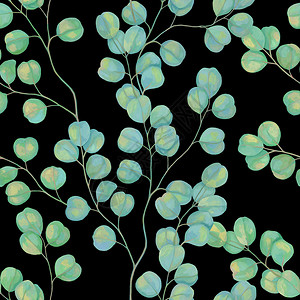 植物学无缝结构图案植物画涂有丙烯漆黑色背景上美丽的天文树枝画出温柔的壁纸风格Eucalypt符合实际的绘画黑色丙烯酸纤维图片