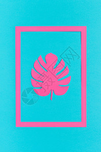 布局艺术品时髦的蓝色背景框架中的时尚热带粉红叶龟背竹创意平躺顶视图贺卡或海报最小风格蓝色背景框架中纸时尚热带粉红叶龟背竹图片