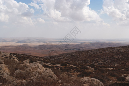 森林中间希布伦山南坡地平线上有内盖夫沙漠波隆斯基图片