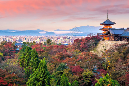 宝塔现代的场景日落时本京都清水寺秋季图片