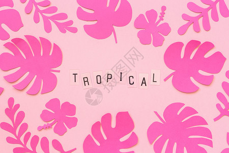 叶子时尚的粉红色热带纸叶和粉红色背景上的文字热带平铺自上而下的构图创意纸艺术时尚的粉红色热带纸叶和粉红色背景上的文字热带夏威夷花图片