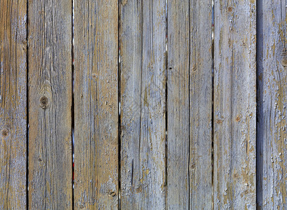 木头静止的古老旧灰色木栅栏加上剥皮油漆和生锈的钉子风化旧灰色木墙制的图片