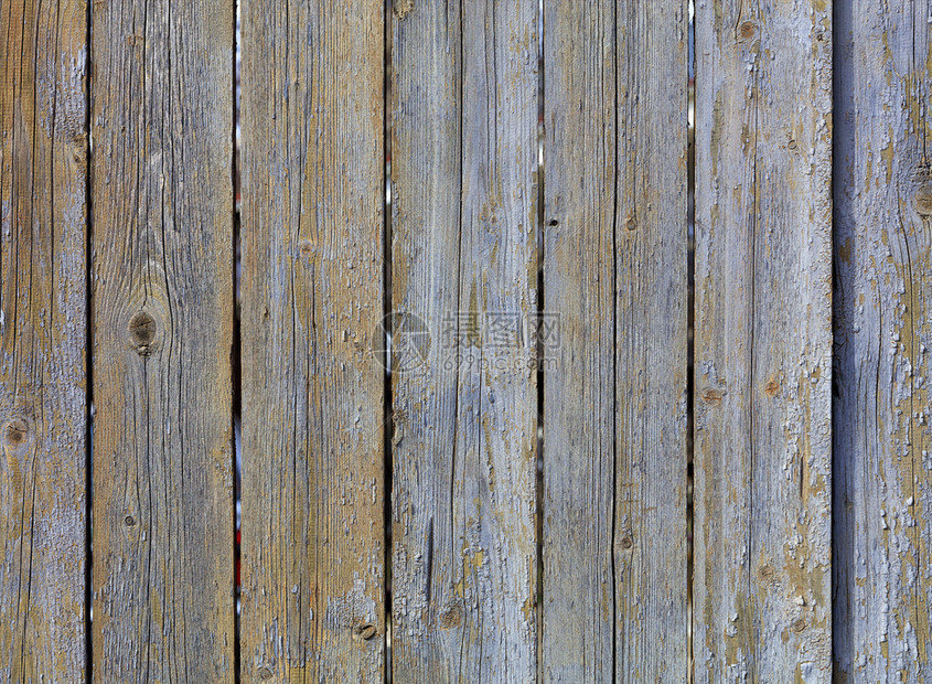 木头静止的古老旧灰色木栅栏加上剥皮油漆和生锈的钉子风化旧灰色木墙制的图片