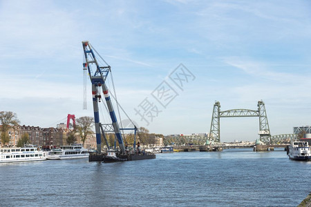鹿特丹Holland14Nov2018在鹿特丹附近的马斯河上拖着一头大漂浮的公牛马亚斯是主要的河渡转弯中心对于将产品运输到河边漂图片