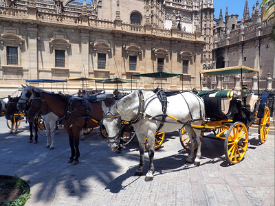 传统马匹和等待游客的马车场景建造欧洲图片