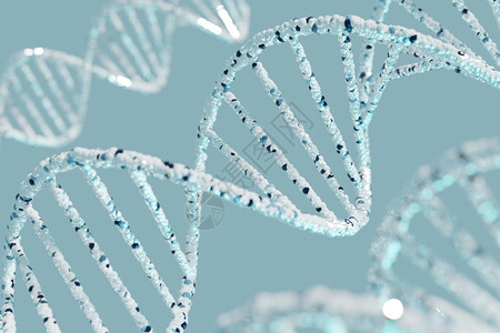 生活研究物技术DNA螺旋式底3D成形法学股图片