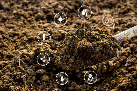 地面动物园艺周围有技术标志的粪肥农业图片