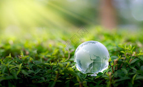 拯救世界的理念了环境世界处于绿布基背景的草丛中有机的生活图片