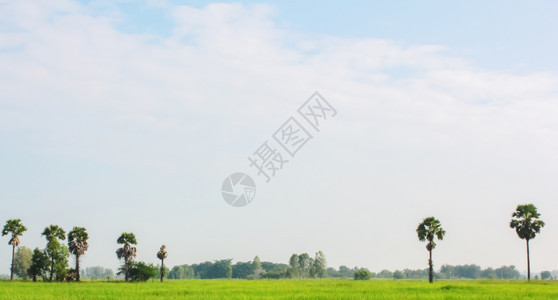 风景优美蓝天空的字段农场业图片