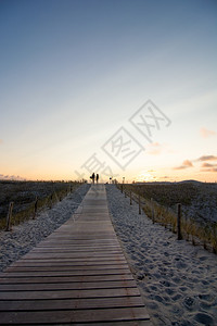 自然荷兰语夏天日落时去荷兰海滩的木步行道图片