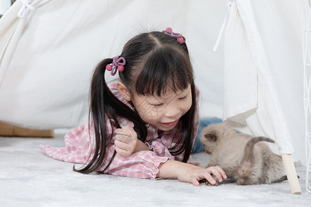 友谊在家里玩猫的小姑娘朋友船概念c在家玩猫朋友船概念家庭童年图片