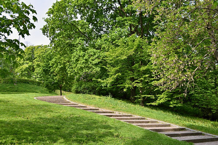 建筑学树美丽的绿色春季公园旅程自然晴天图片