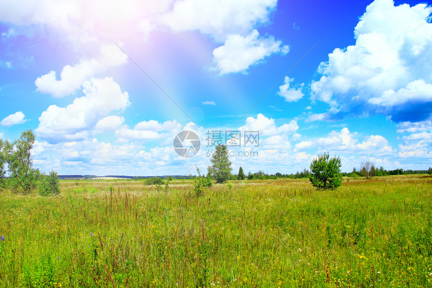 生活夏日风景阳光明亮的芒从白云蓝天空白向外飘落于绿地MeadowPanoramaSunny夏季日绿色草地上的白云田野景观和美丽的