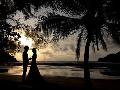 一对夫妇在树上日落背景的男女情侣休眠婚礼爱情概念家庭走浪漫的图片