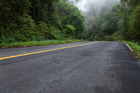 早晨与自然林和雾雨相交的公路山旅行图片